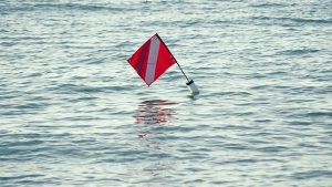outsourcing red flags
